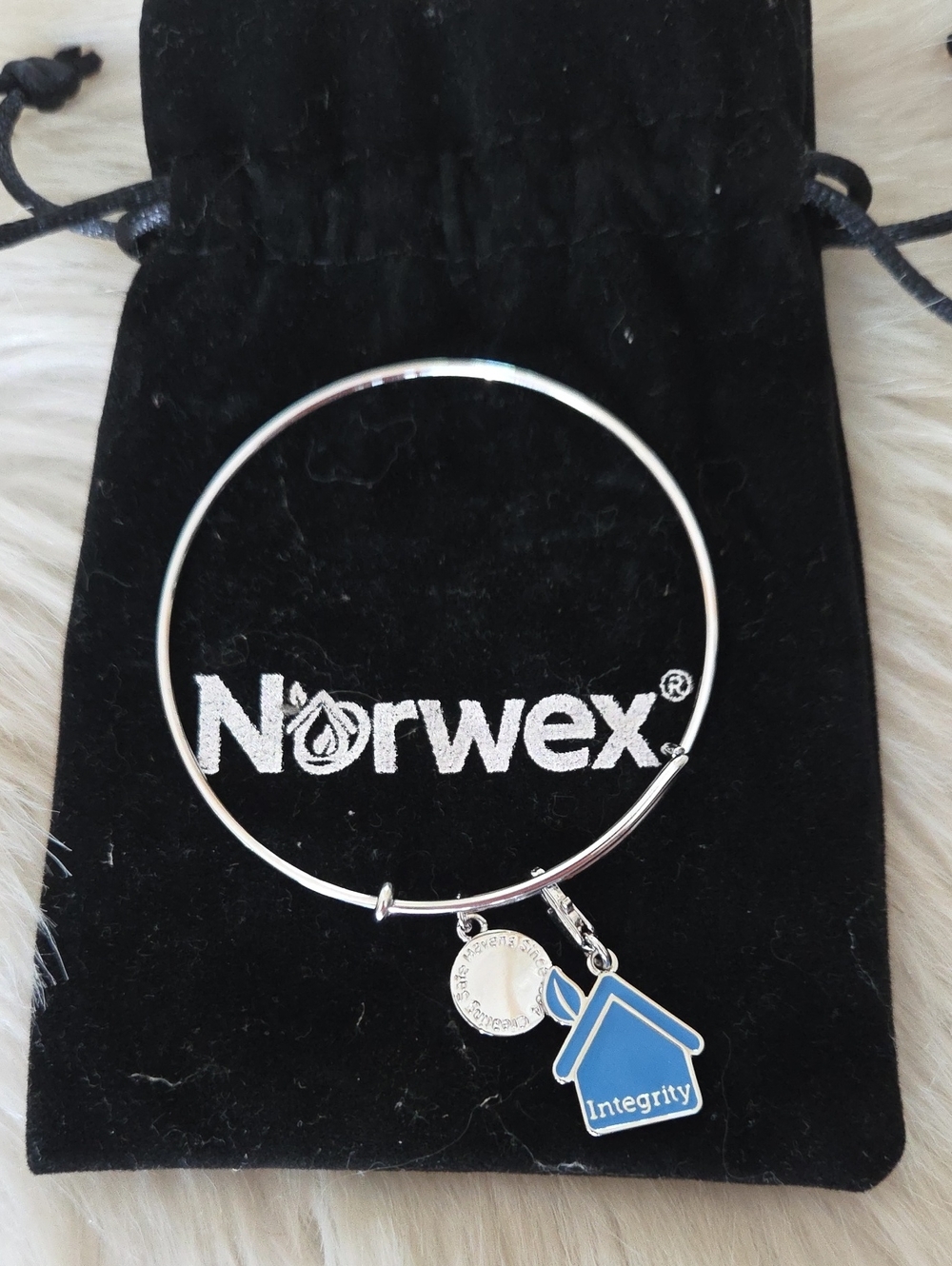 Norwex Silver Bangle Bracelet Integrity Charm